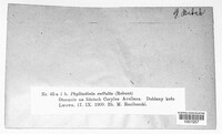 Image Associated With the Occurence
